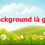 background la gi