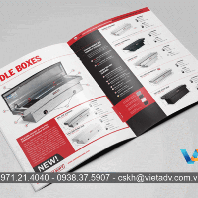 In Catalogue 13 Catalogue có nhiều cách phân loại dựa vào những tiêu chí khác nhau