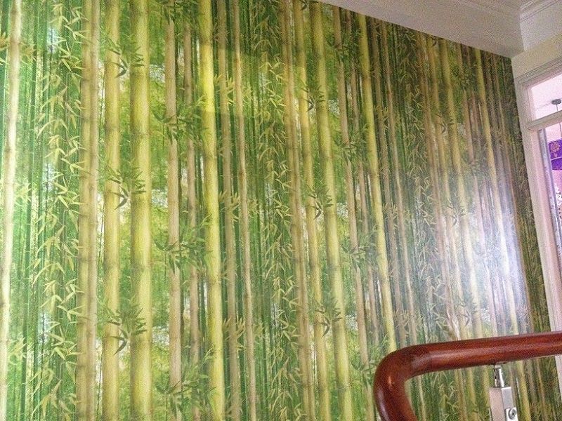 Giấy dán tường màu xanh lá trang trí phòng khách
